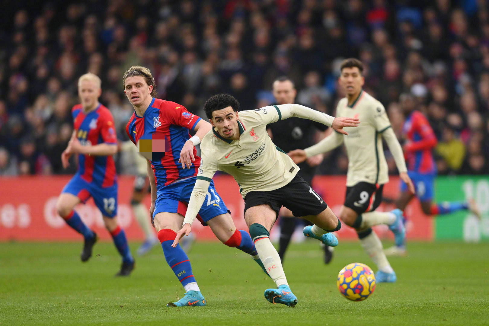 塔爾世界盃 塔爾世界盃